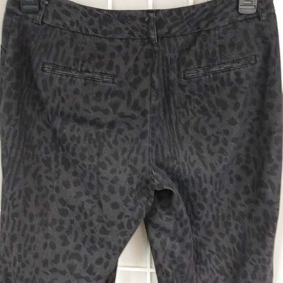 Westbound Animal-Print Jeans – Women 8 - Picture 4 of 11